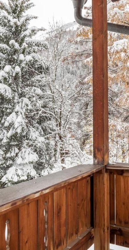 Chalet Flocke Appart Murmeltier – billede 5