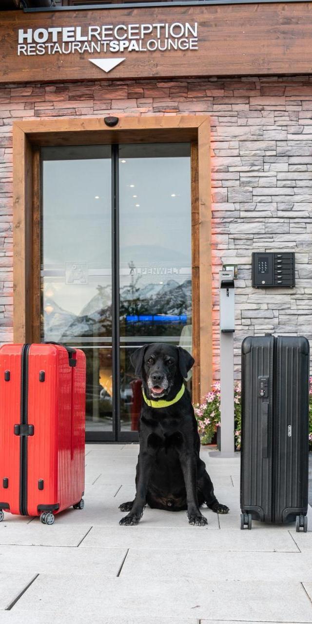 My Alpenwelt Resort – bild 18