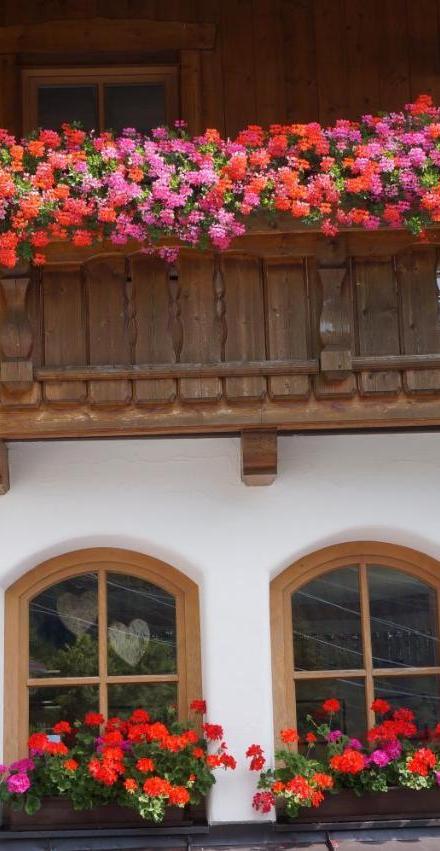 Pension Strolz – billede 2