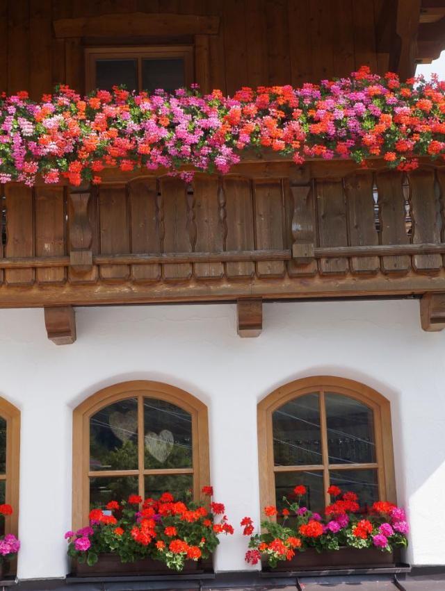Pension Strolz – billede 2
