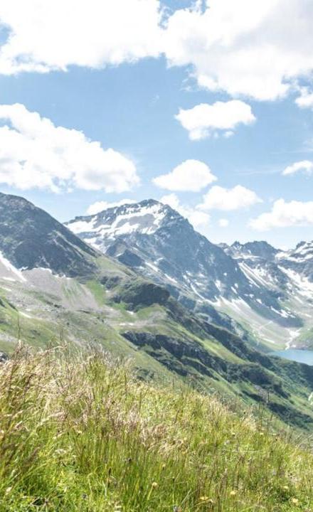 Zur Pfeffermuhle – billede 3