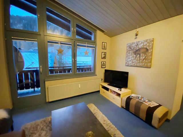 St Anton Ski Apartments – billede 7