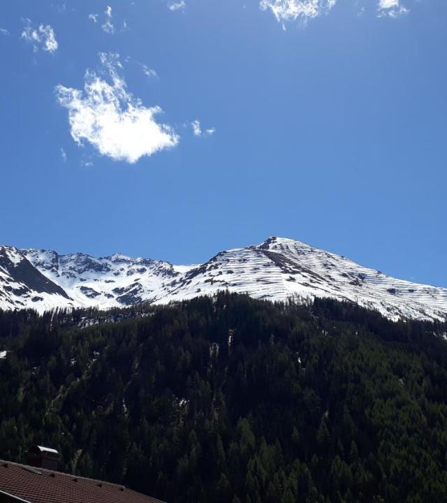 Haus Riefli- Monique – billede 11