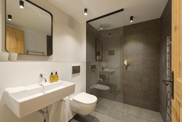Chalet Silver Fox – billede 13