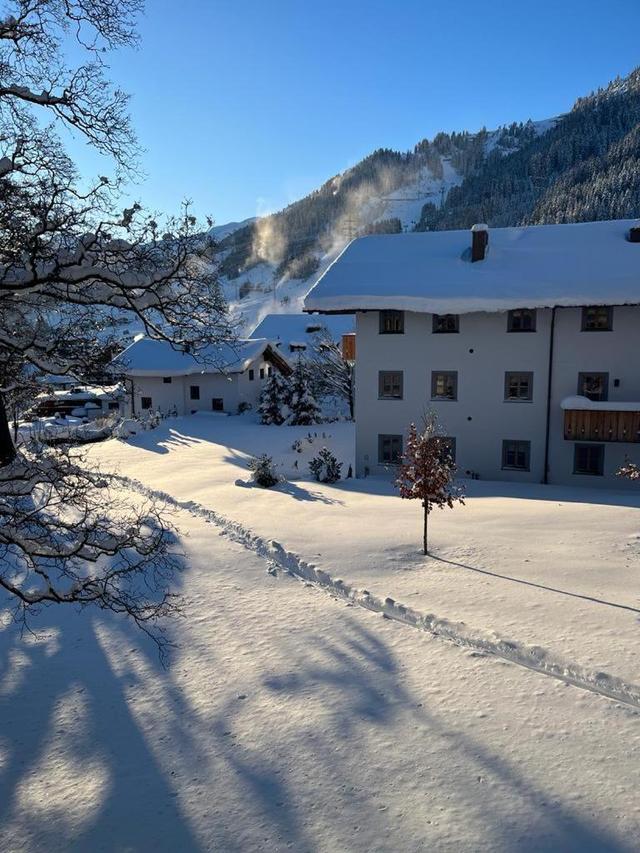 Chalet Silver Fox – billede 28