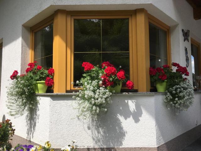 Haus Wildebene – billede 4