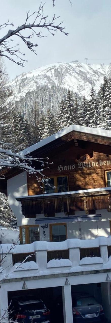 Haus Wildebene – billede 1