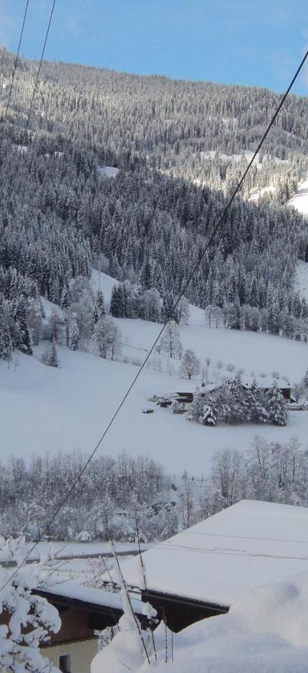 Gondelblick – billede 3