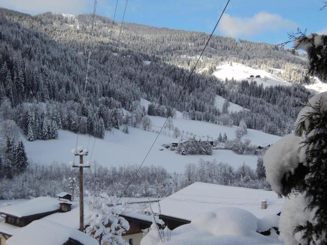 Gondelblick – billede 3