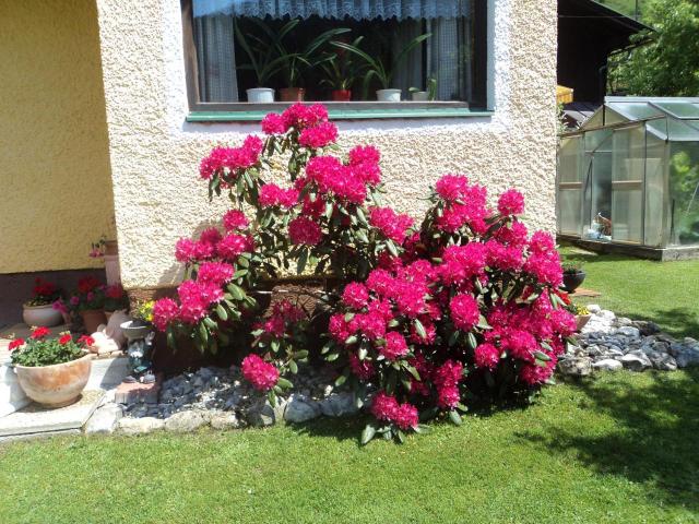 Gondelblick – billede 4