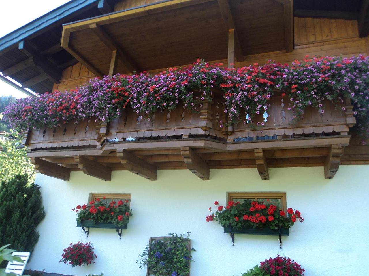 Gondelblick, Wagrain