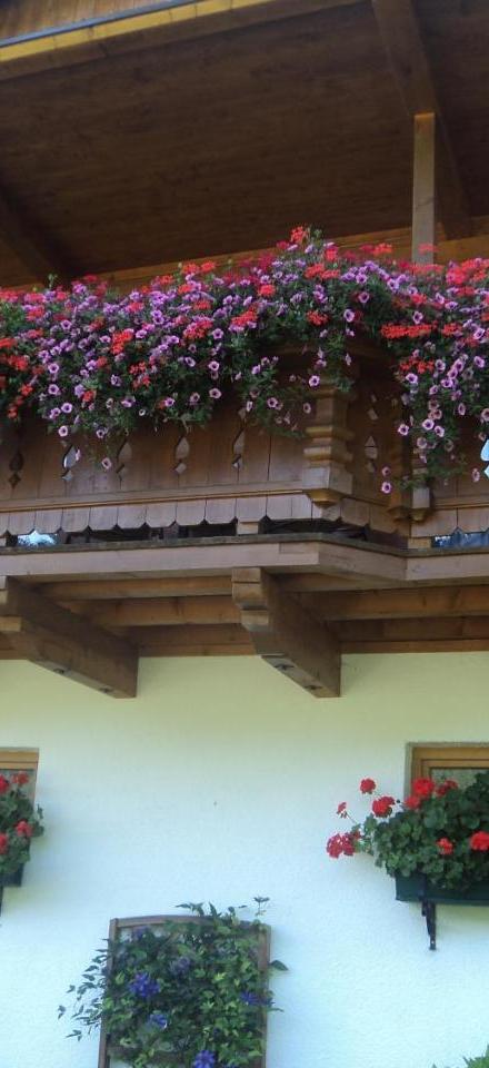 Gondelblick – billede 1