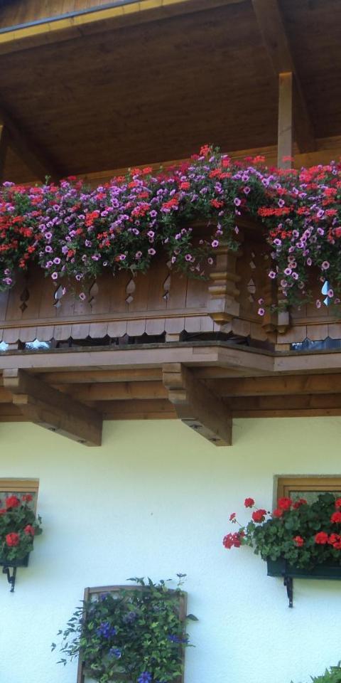 Gondelblick – Wagrain