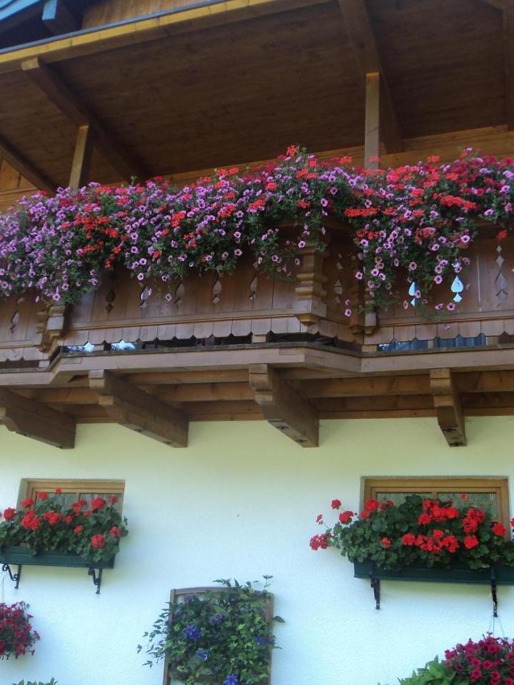 Two-Bedroom Apartment (1 extra-large double bed) - Free WiFi – Gondelblick
