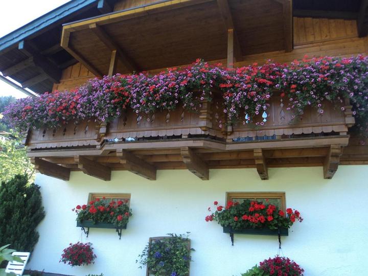 Hotelbilleder – Gondelblick (1/11)