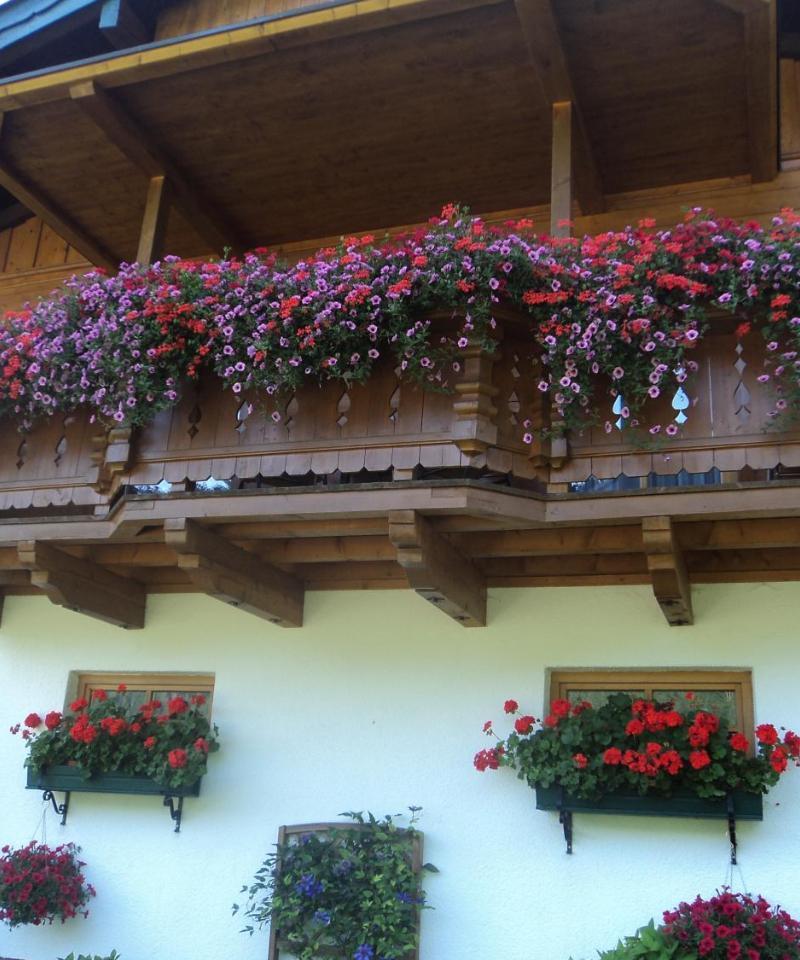 Gondelblick