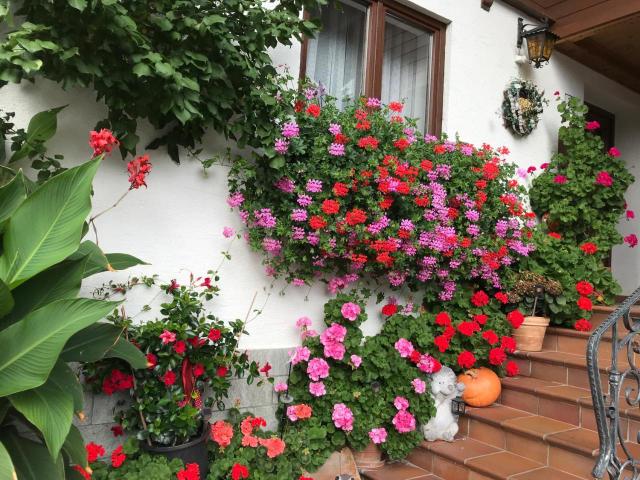 Haus Katharina – billede 22