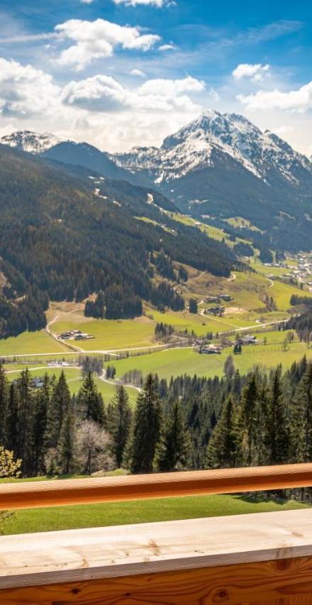 Appartement Bergpanorama Brandegg – billede 3