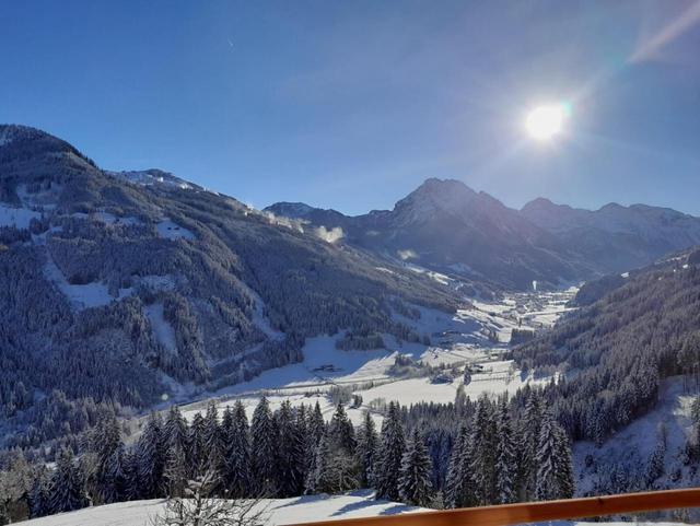 Appartement Bergpanorama Brandegg – billede 16