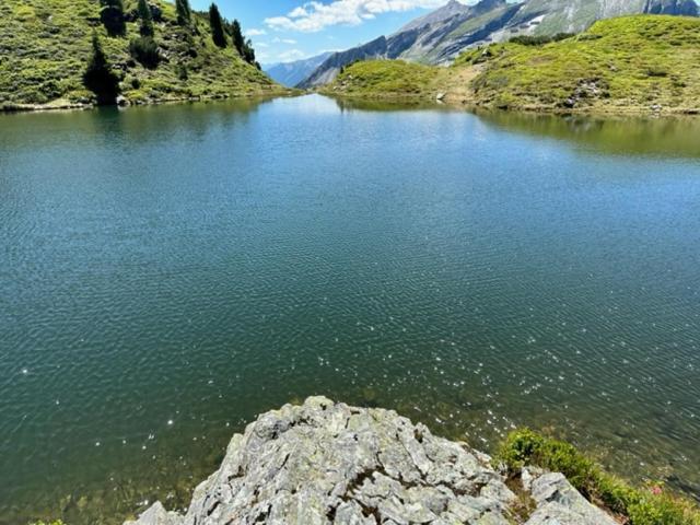 Obertauern Fewo Alps -Top 11 by Kamper – billede 35