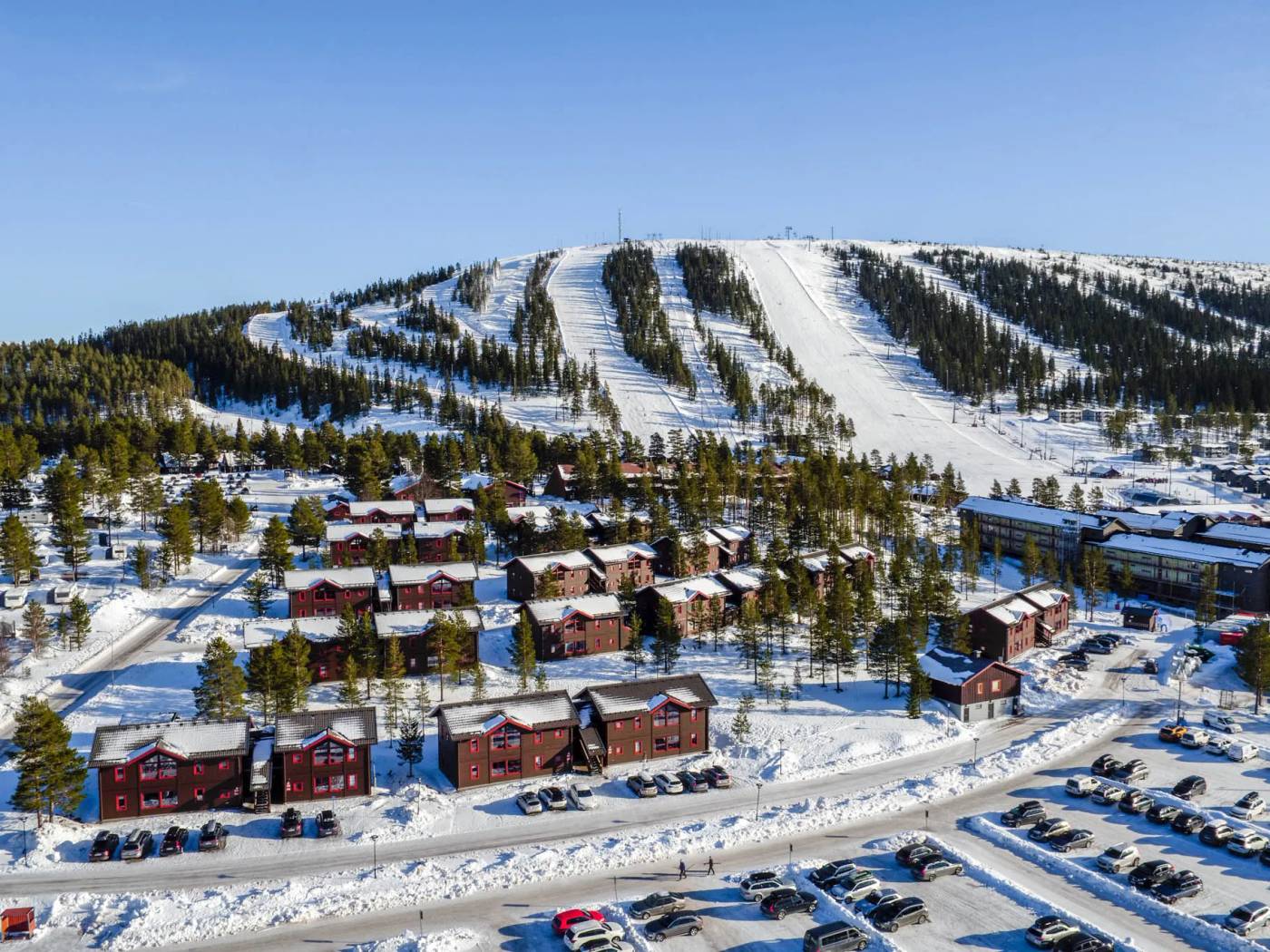 Solar kinder, Sälen