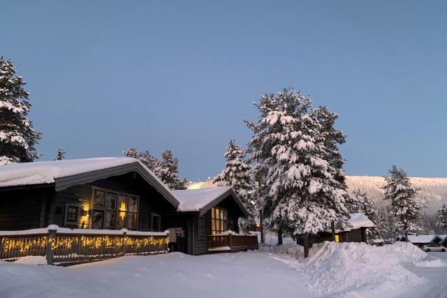 Fjällvilla – billede 14