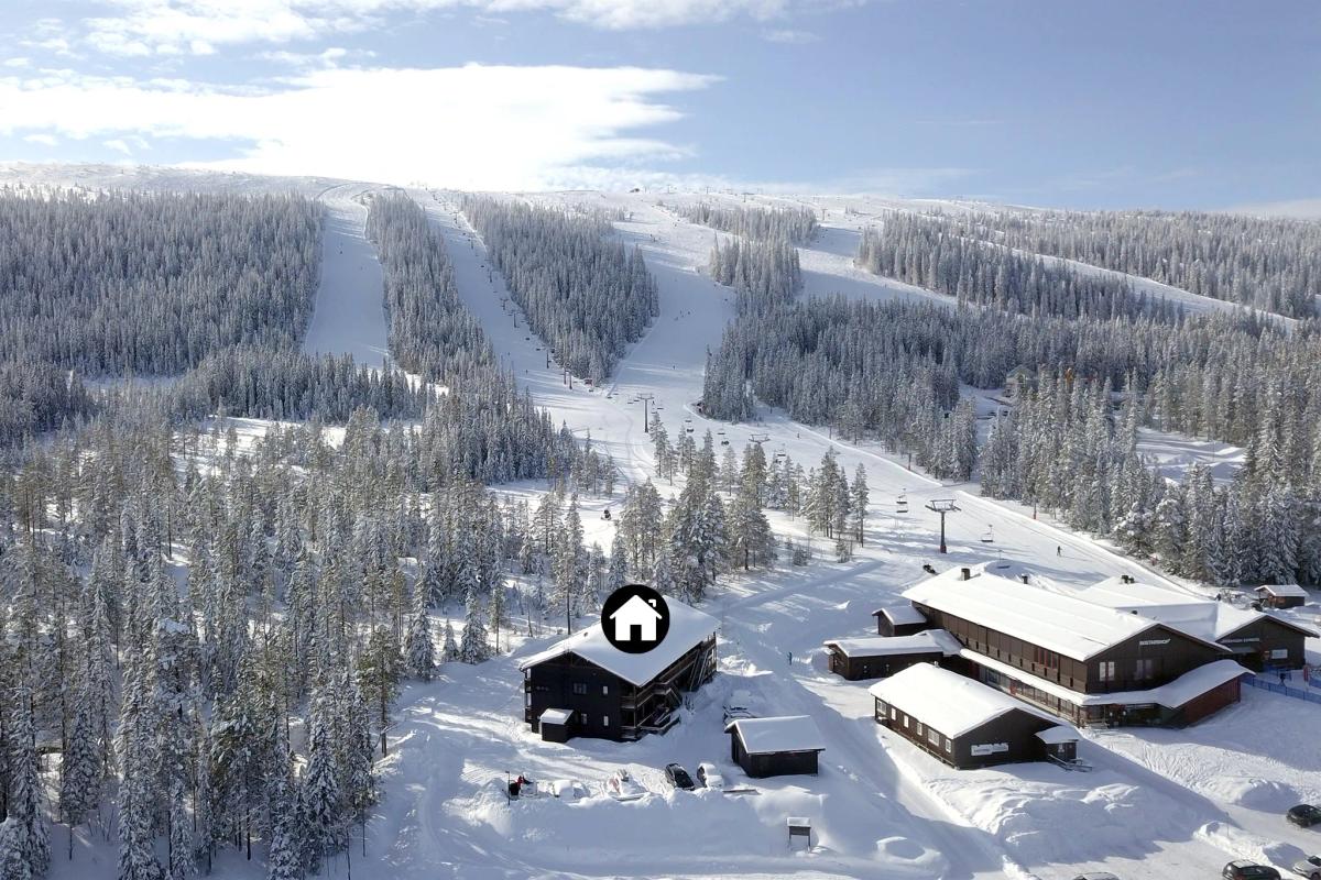 Ski House 303