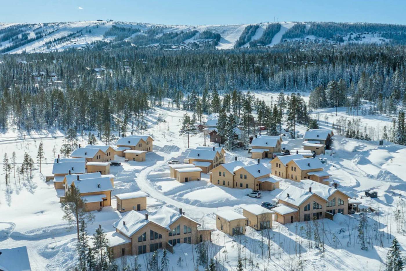 Erk-Olsmyran, Sälen