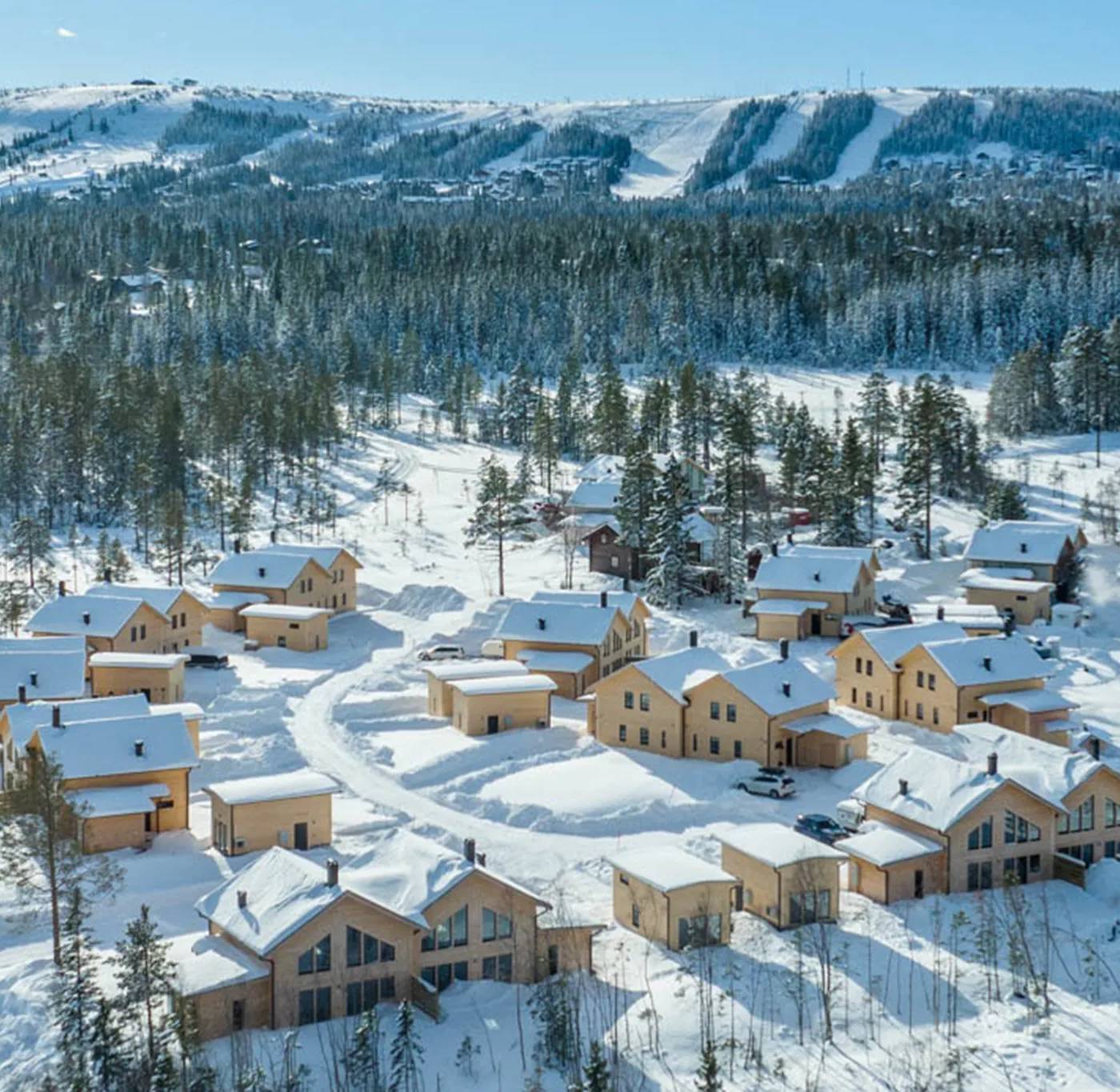 Erk-Olsmyran, Sälen