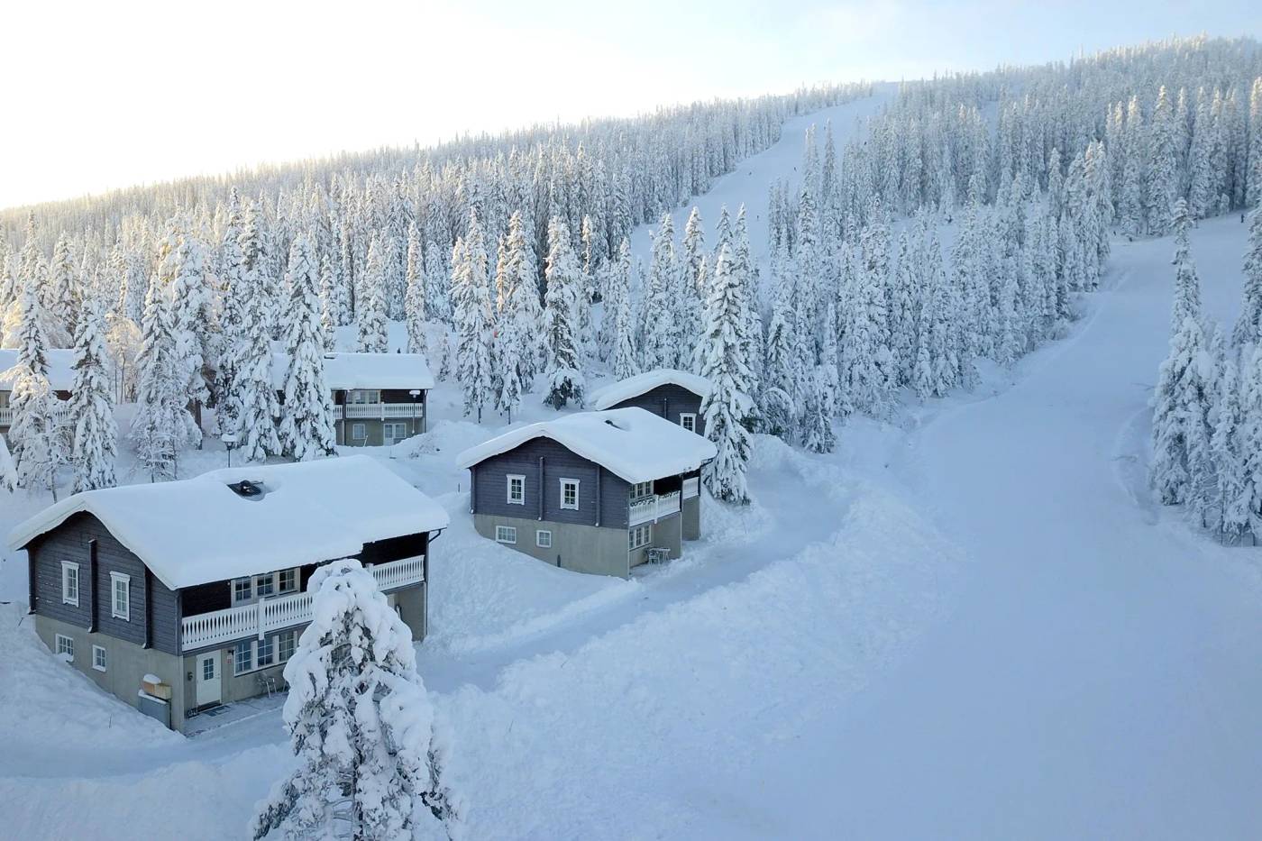 Yellow Village, Sälen